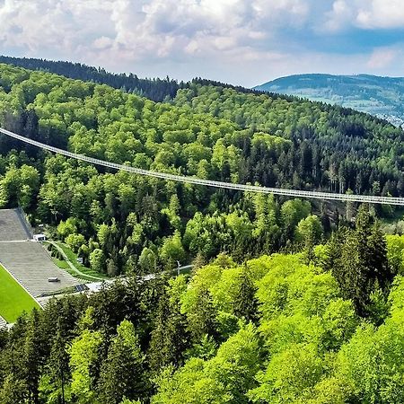 Fewo am Stryckteich Willingen  Zewnętrze zdjęcie