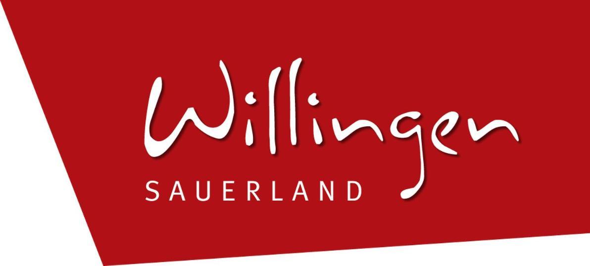 Fewo am Stryckteich Willingen  Zewnętrze zdjęcie