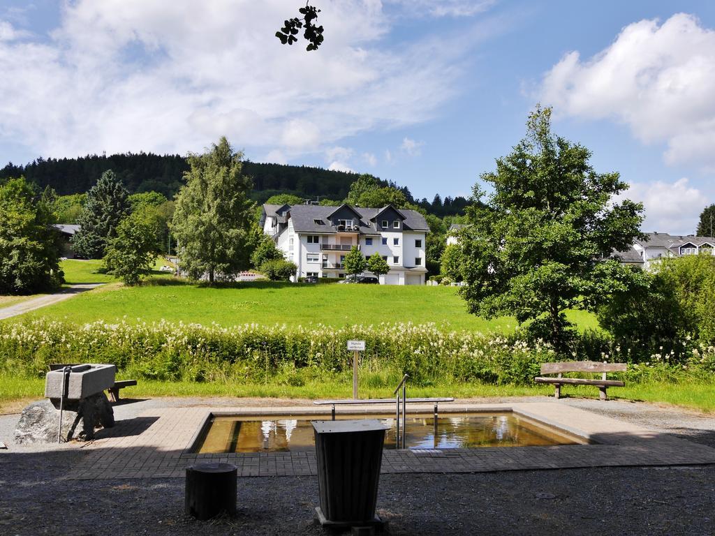 Fewo am Stryckteich Willingen  Zewnętrze zdjęcie