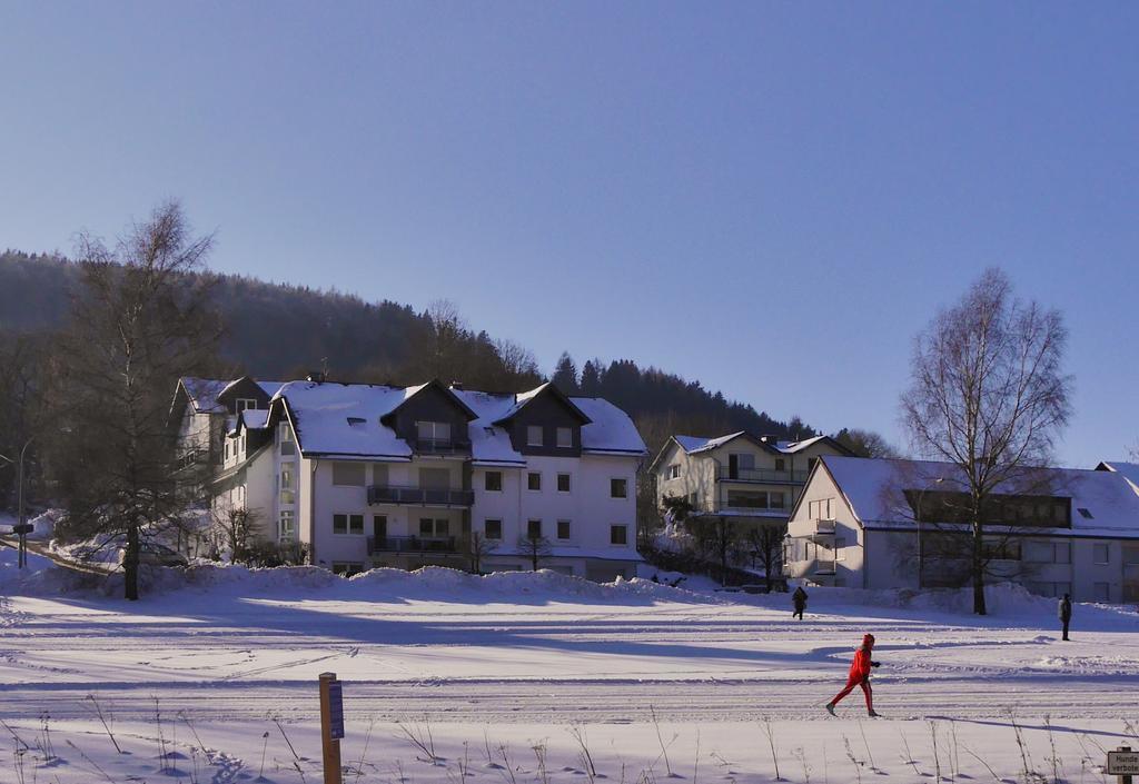 Fewo am Stryckteich Willingen  Zewnętrze zdjęcie
