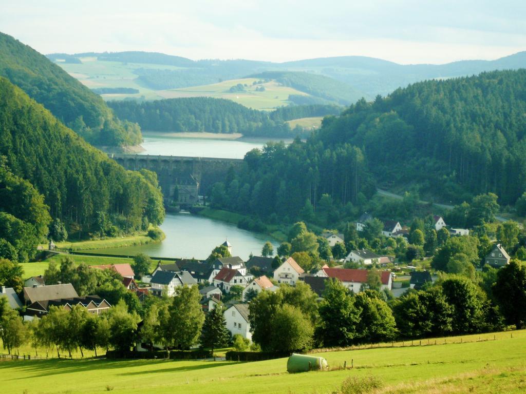Fewo am Stryckteich Willingen  Zewnętrze zdjęcie