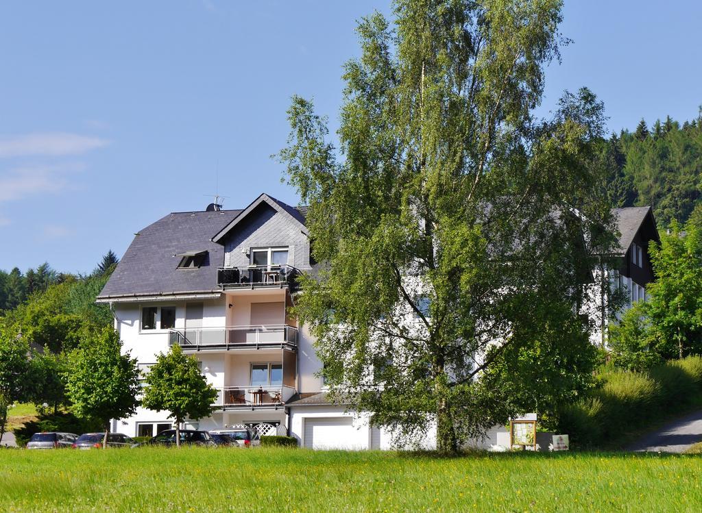 Fewo am Stryckteich Willingen  Zewnętrze zdjęcie