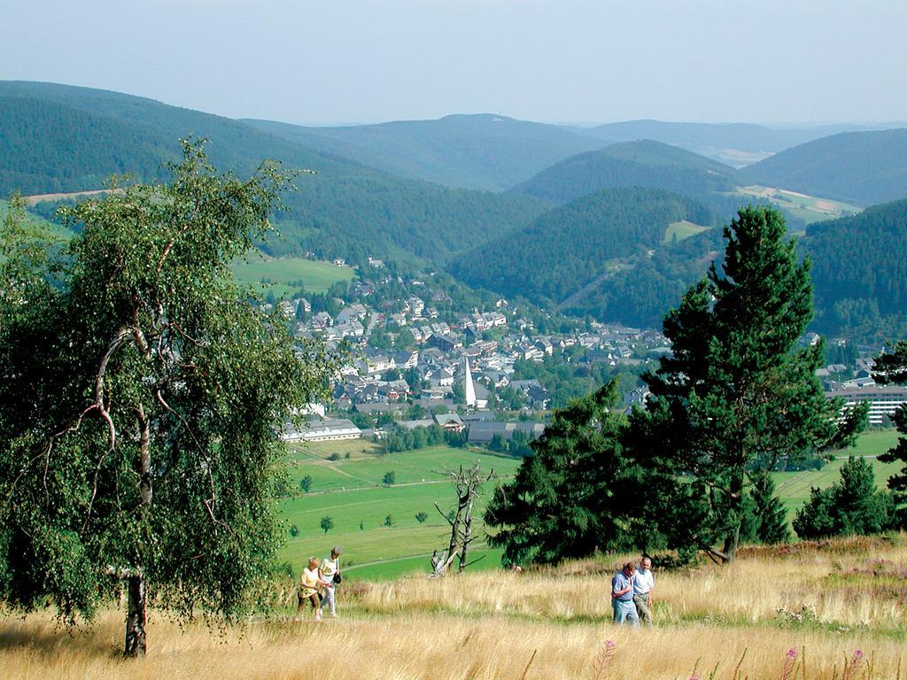 Fewo am Stryckteich Willingen  Zewnętrze zdjęcie