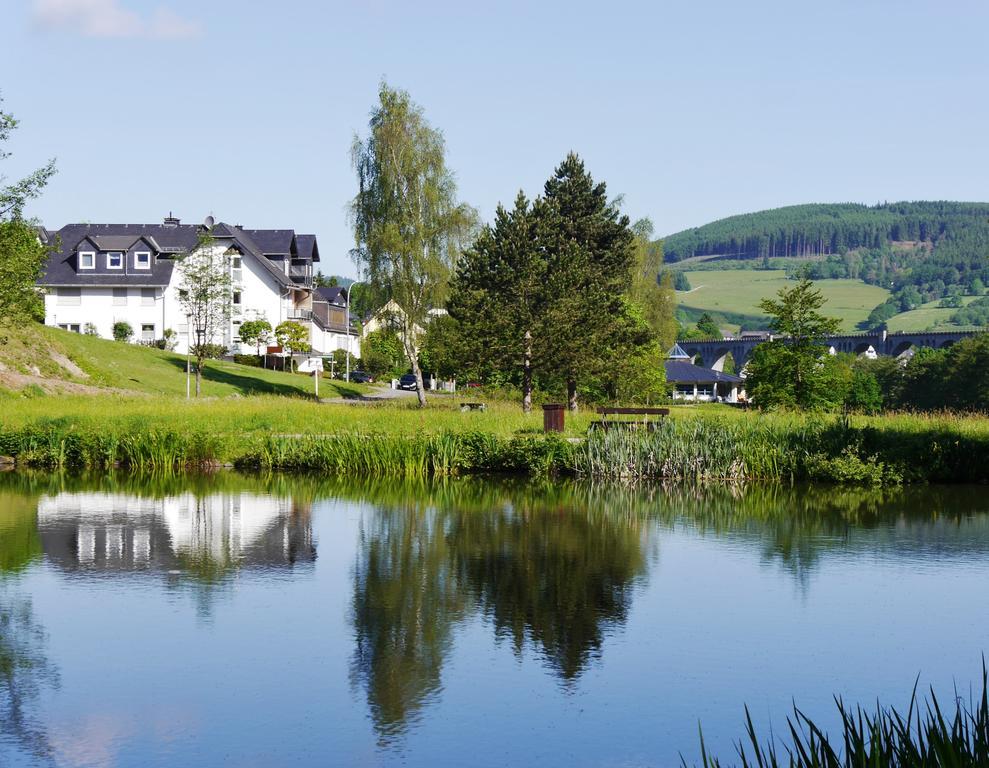 Fewo am Stryckteich Willingen  Zewnętrze zdjęcie
