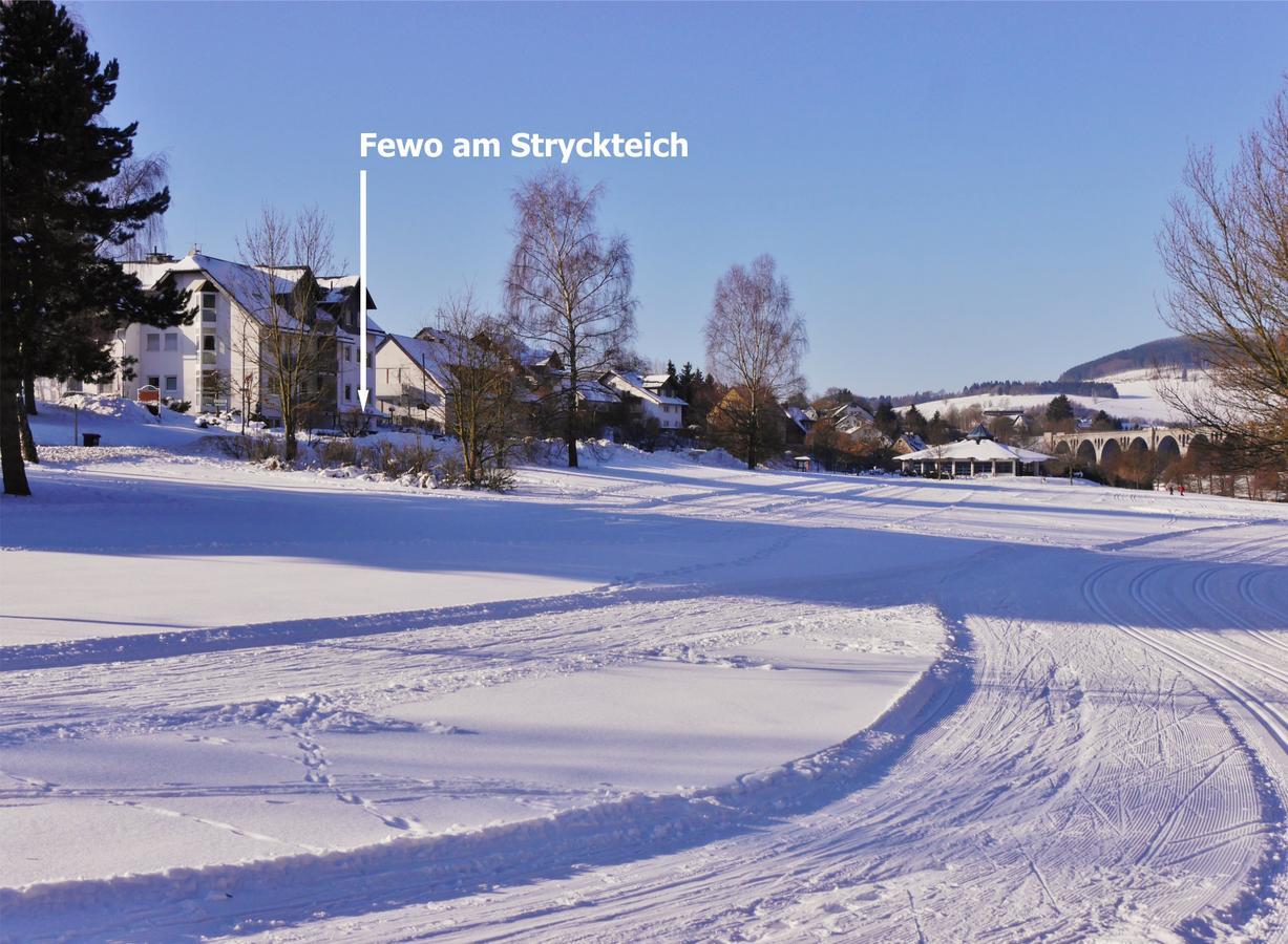 Fewo am Stryckteich Willingen  Zewnętrze zdjęcie