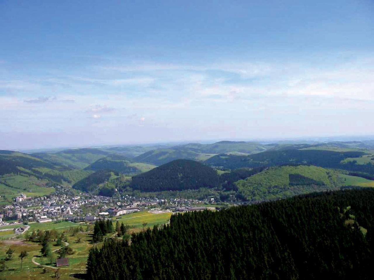 Fewo am Stryckteich Willingen  Zewnętrze zdjęcie