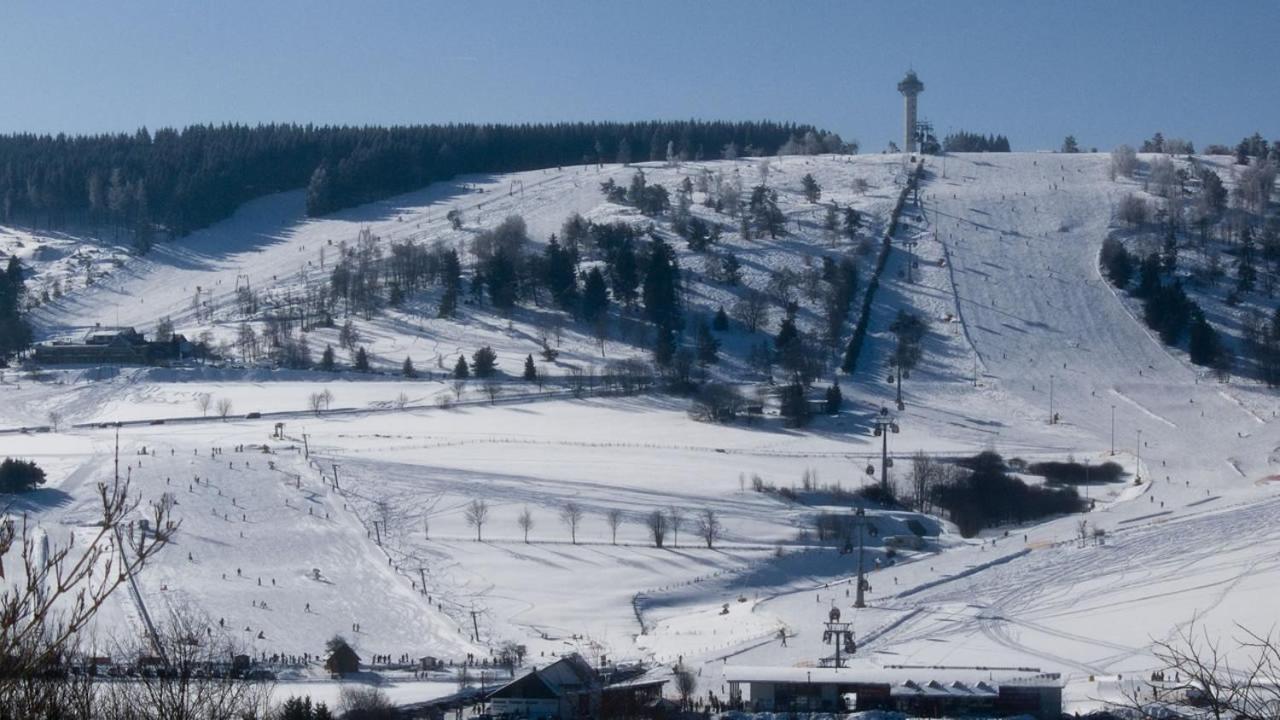 Fewo am Stryckteich Willingen  Zewnętrze zdjęcie